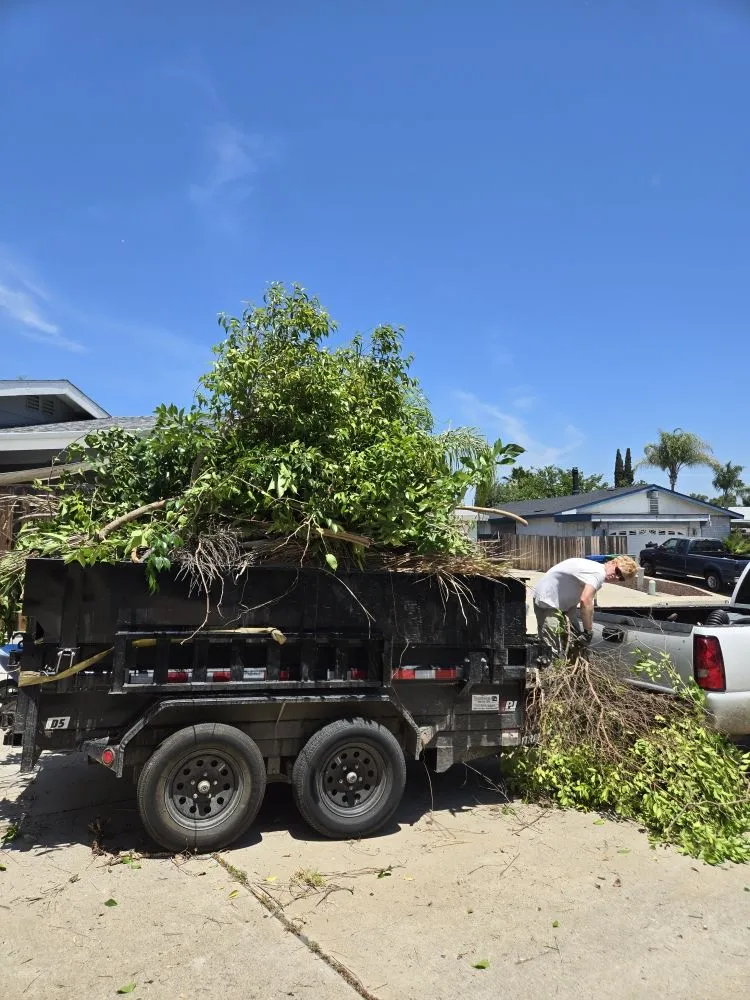 Reliable landscaping services in San Diego, CA by Thorson's Lawn Care