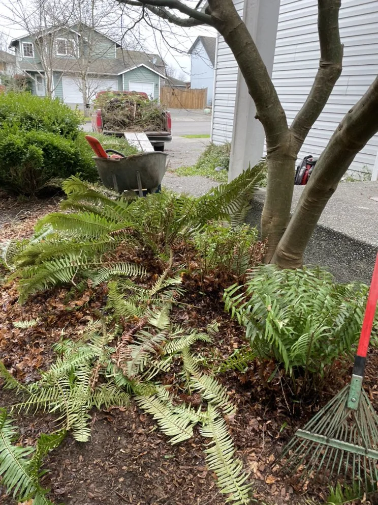 Expert lawn mowing service experts serving Marysville, WA - Tho’s Gardening And Landscaping Service