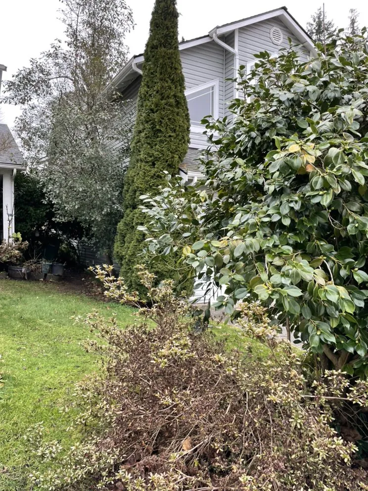 Reliable lawn mowing service for homes in Marysville, WA by Tho’s Gardening And Landscaping Service