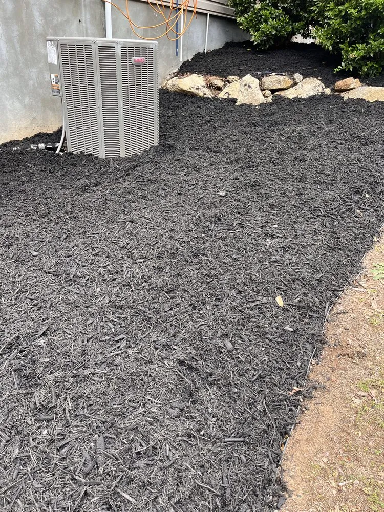 Expert residential landscaping for year-round maintenance in Central, SC by Those Guys