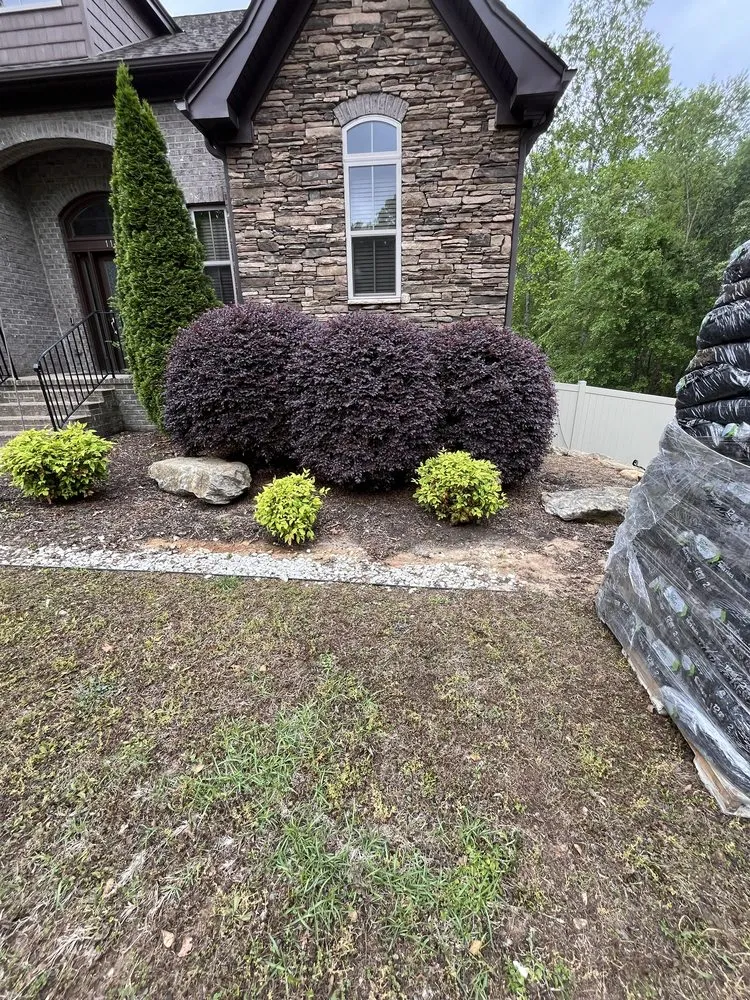 Expert yard cleanup service experts serving Central, SC - Those Guys