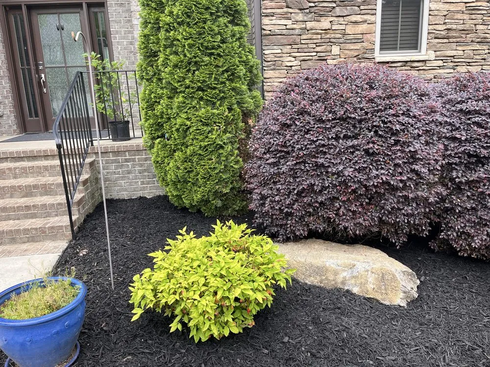 Local landscape installation experts serving Central, SC - Those Guys