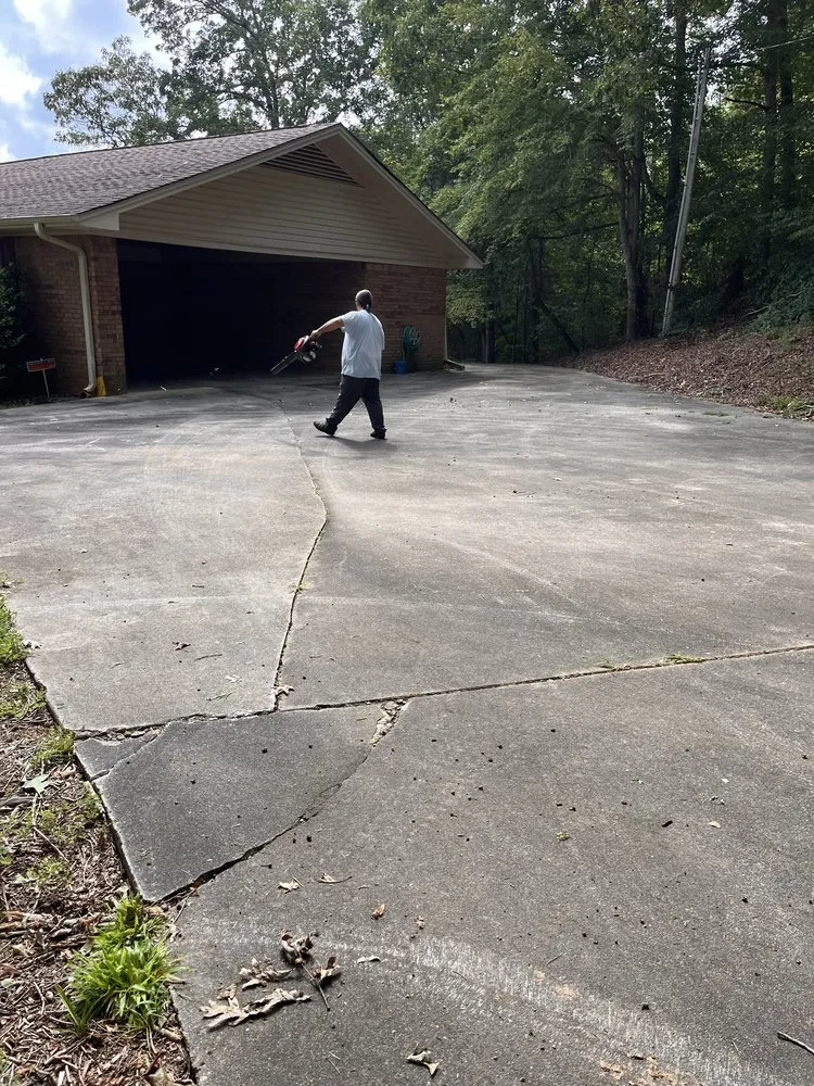 Expert landscape design experts serving Central, SC - Those Guys