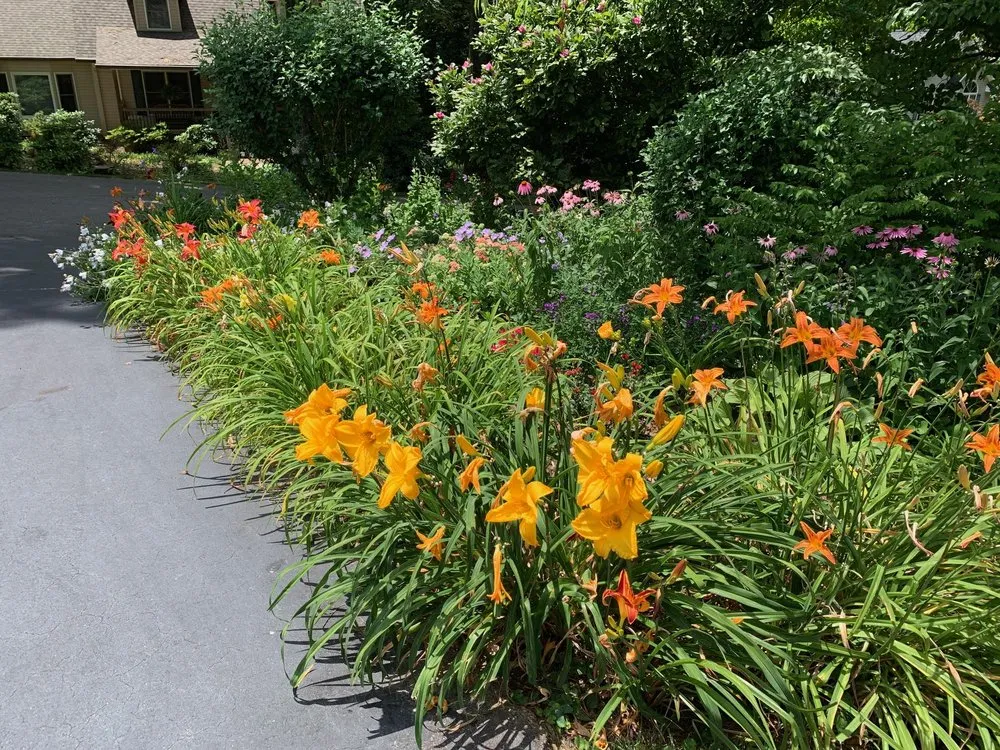 Reliable residential landscaping experts serving Asheville, NC - 