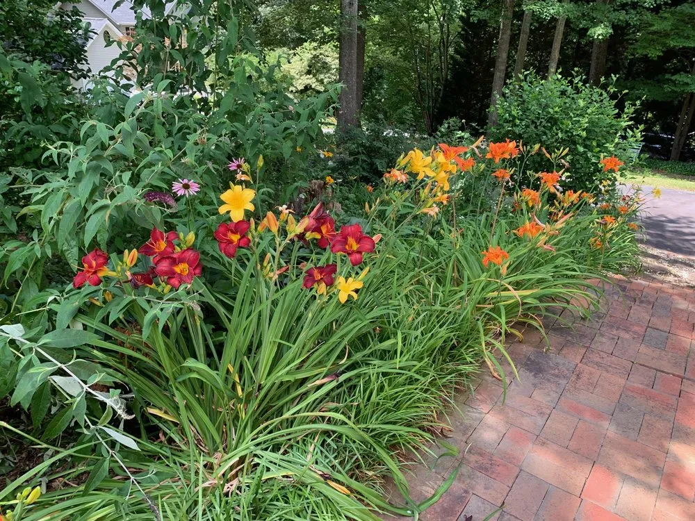 Top-rated residential landscaping for homes across Asheville, NC - 