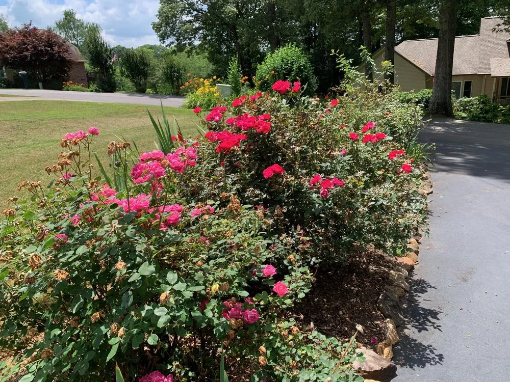 Affordable garden landscaping in Asheville, NC - 