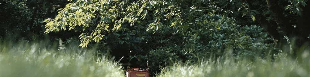 Local lawn care service for beautiful yards in Bentonville, AR by Those Guy's Professional Landscaping