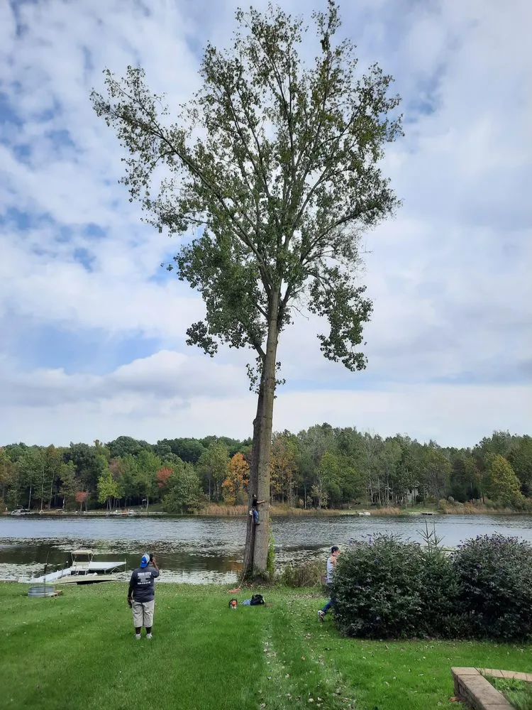 Custom landscape design experts serving Coloma, MI - Those Guys Property Maintenance