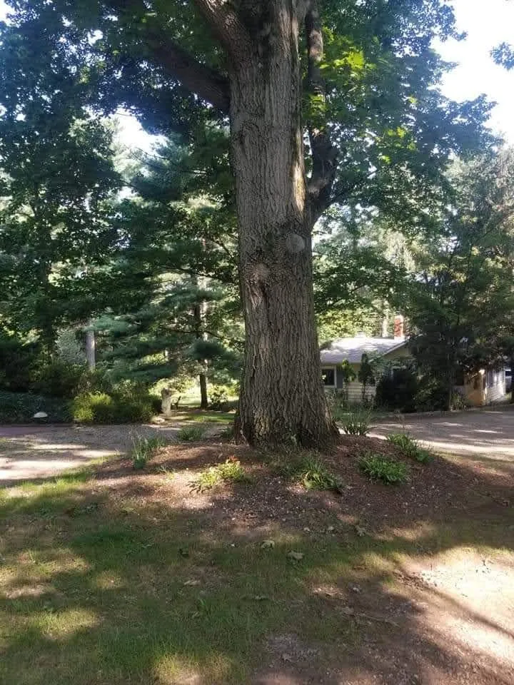 Expert lawn mowing service experts serving Coloma, MI - Those Guys Property Maintenance