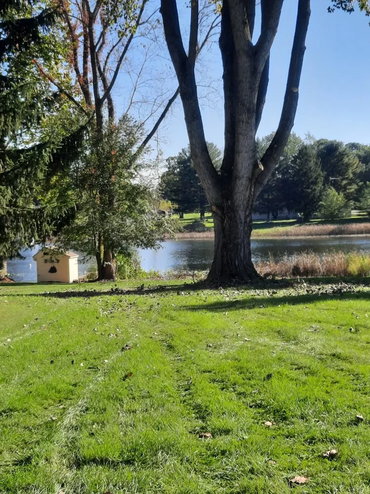 Custom landscape design for year-round maintenance across Coloma, MI - Those Guys Property Maintenance