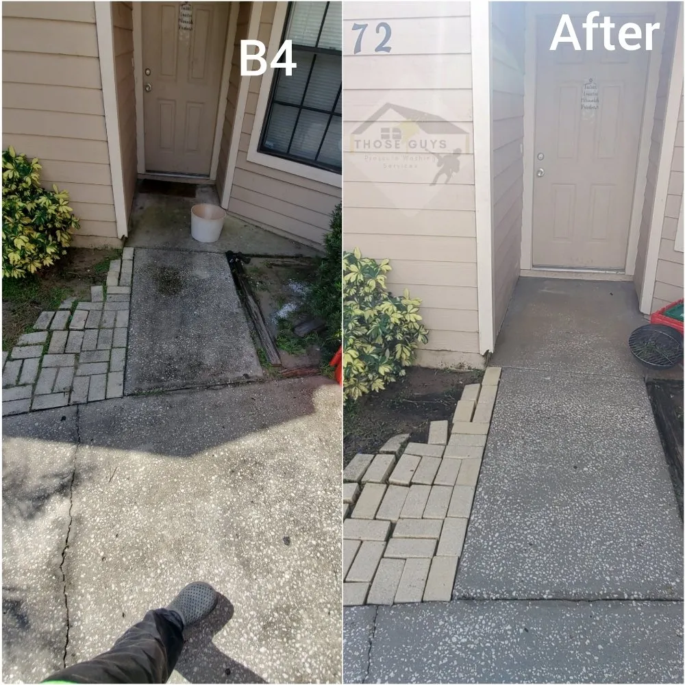 Affordable residential landscaping experts serving Orlando, FL - Those Guys Service Professionals of Central Florida