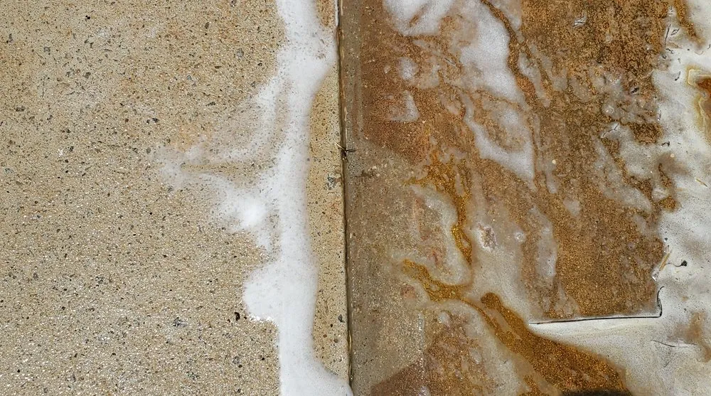 Professional landscaping services in Orlando, FL by Those Guys Service Professionals of Central Florida