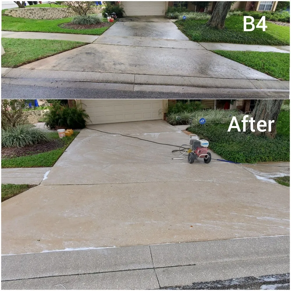 Trusted yard cleanup service for beautiful yards across Orlando, FL - Those Guys Service Professionals of Central Florida