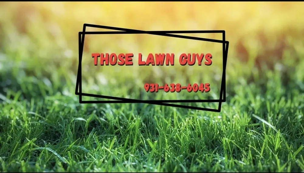 Reliable yard maintenance with custom design in Ardmore, TN by Those Lawn Guys