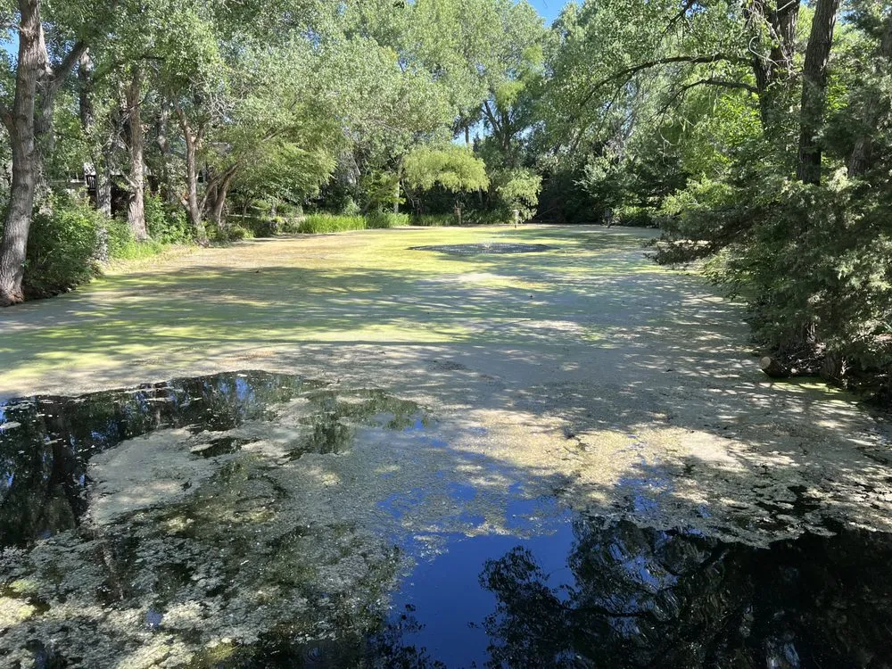 Reliable residential landscaping in Hesston, KS - Those Pest Solutions