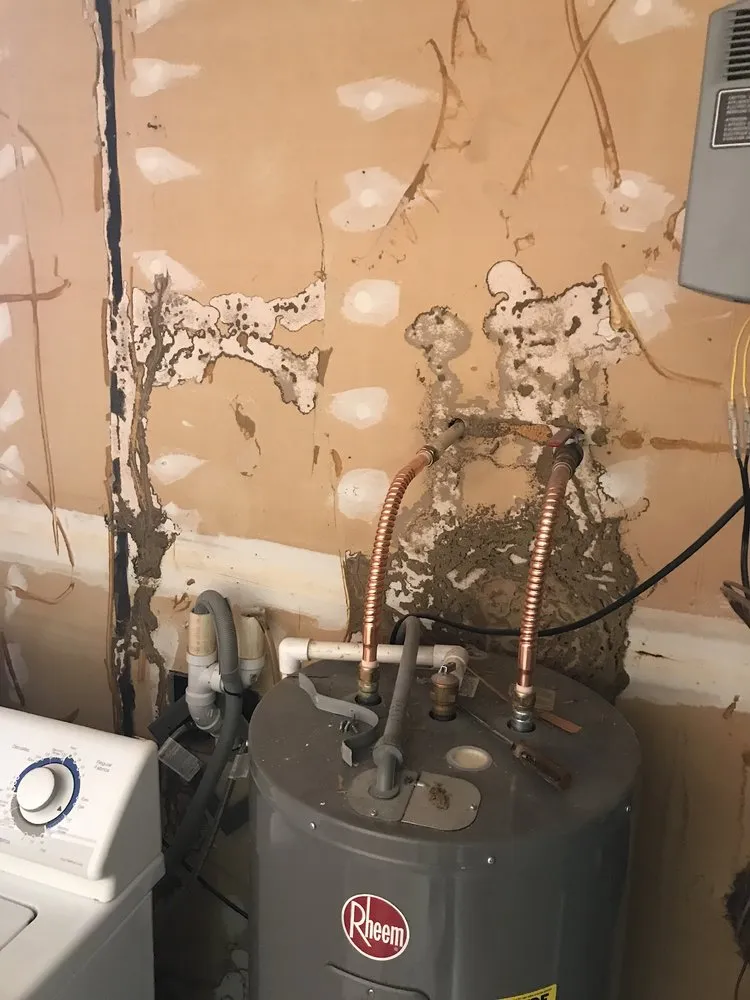 Trusted landscape design experts serving Hesston, KS - Those Pest Solutions