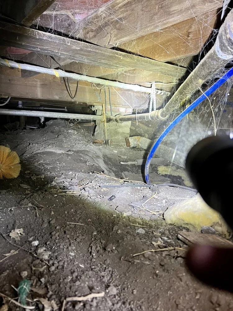 Top-rated lawn mowing service in Hesston, KS - Those Pest Solutions