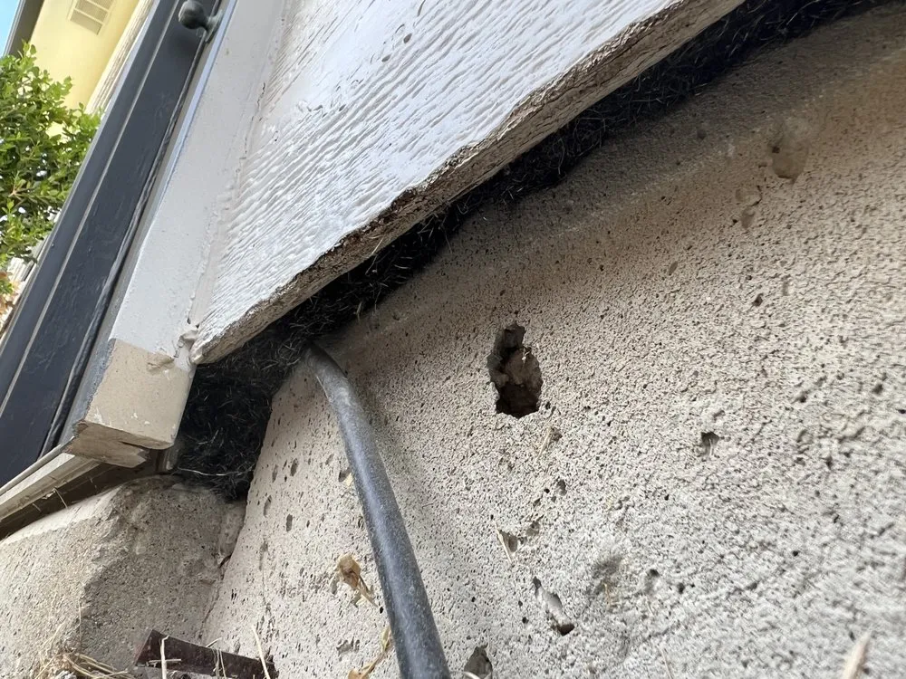 Expert landscape installation in Hesston, KS by Those Pest Solutions