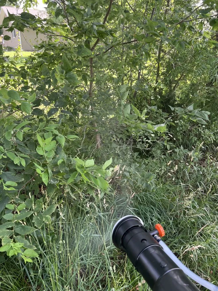 Expert residential landscaping in Hesston, KS - Those Pest Solutions