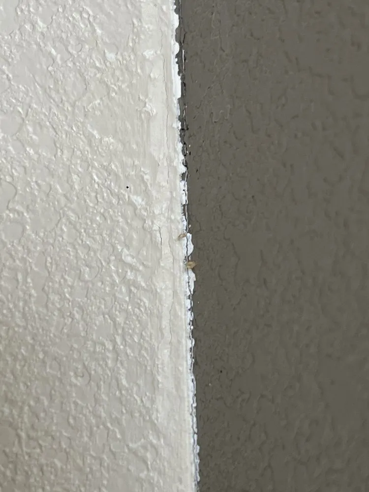 Local landscaping services with custom design across Hesston, KS - Those Pest Solutions