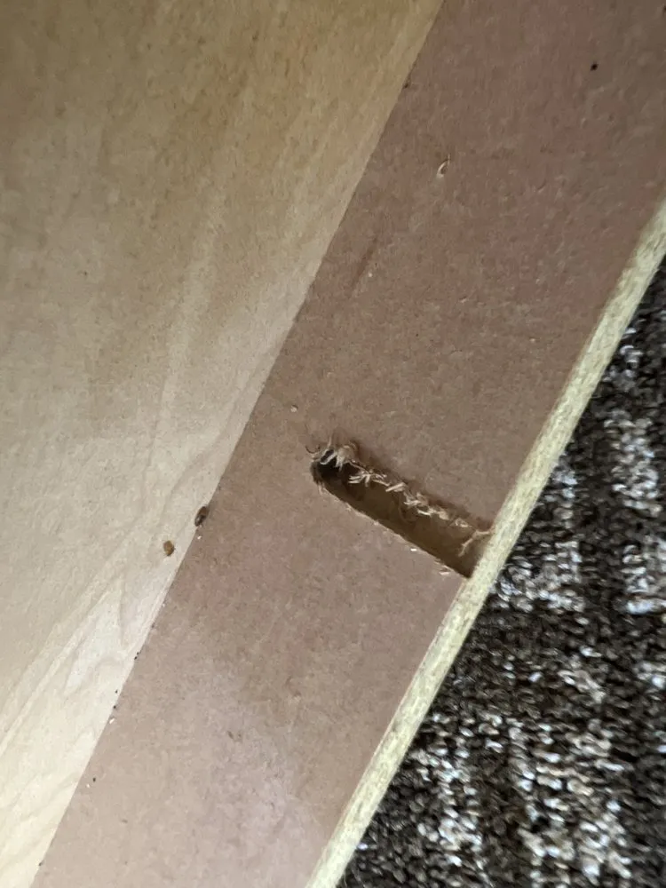 Professional residential landscaping for year-round maintenance in Hesston, KS by Those Pest Solutions