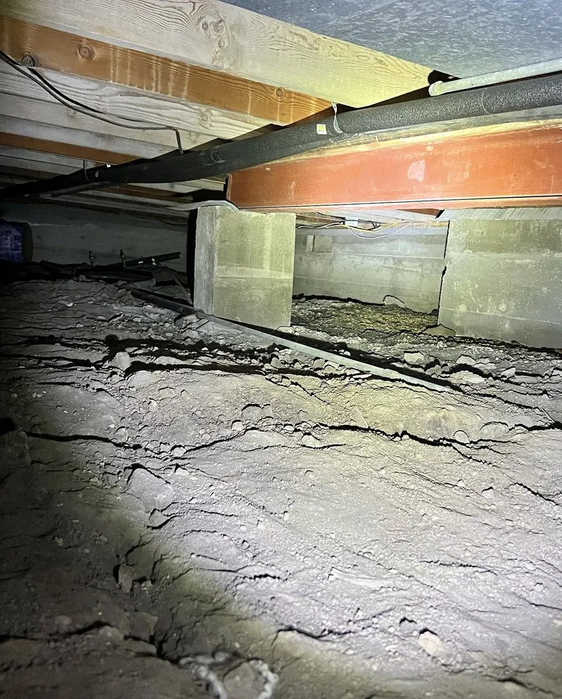 Expert garden landscaping in Hesston, KS by Those Pest Solutions