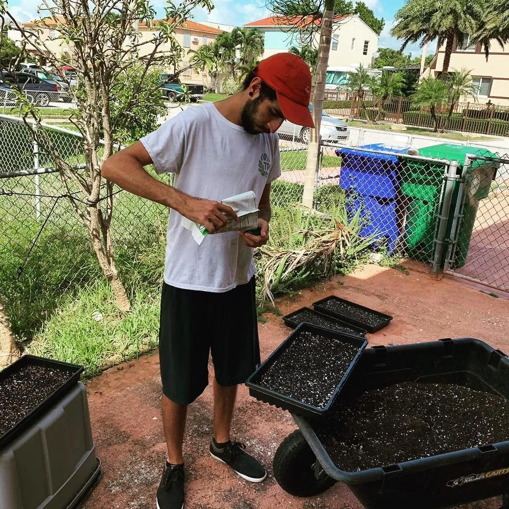 Local residential landscaping in Miami, FL by Those Plant Guys