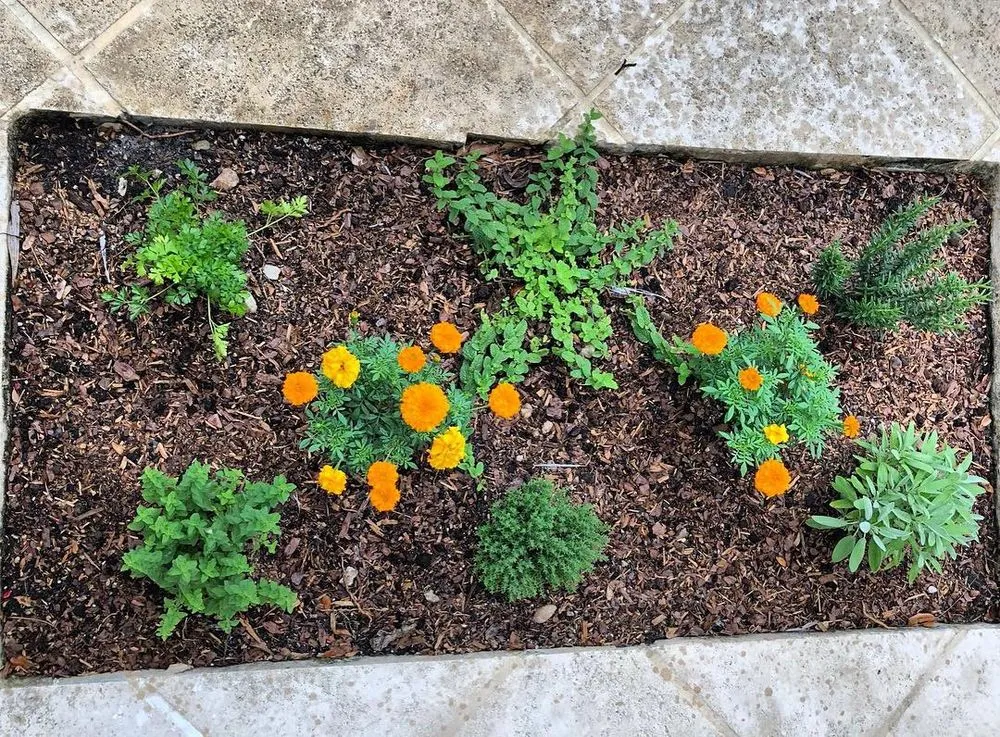 Reliable landscape design in Miami, FL - Those Plant Guys