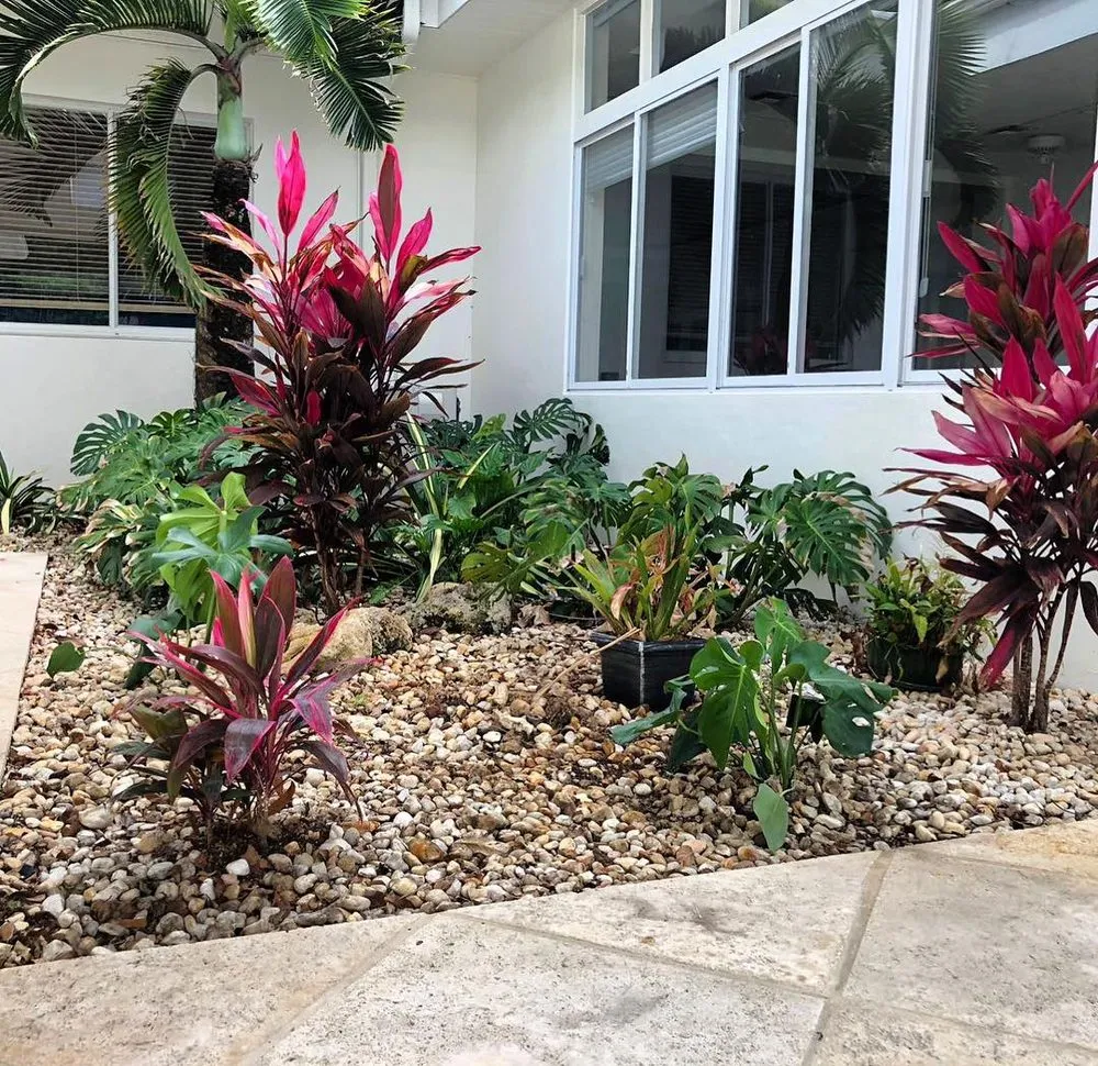 Trusted landscape installation experts serving Miami, FL - Those Plant Guys