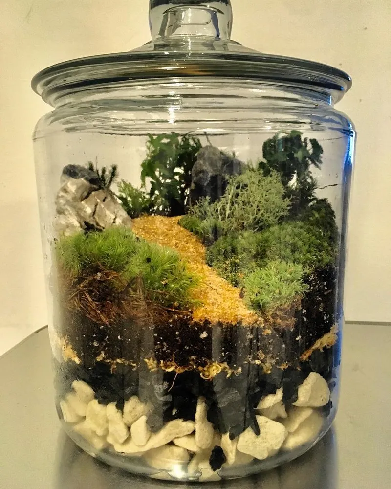 Custom yard maintenance in Miami, FL by Those Plant Guys