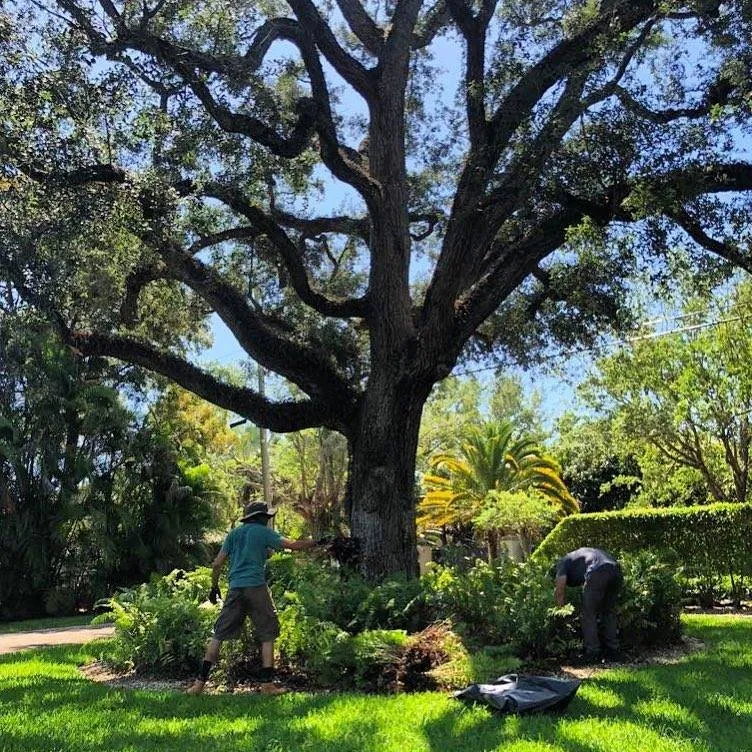Expert landscaping services experts serving Miami, FL - Those Plant Guys