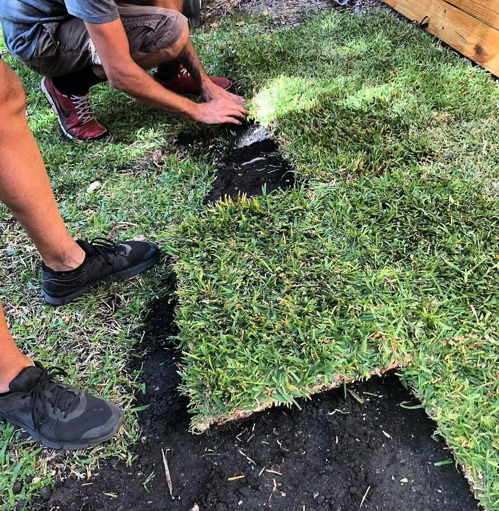 Custom residential landscaping in Miami, FL - Those Plant Guys