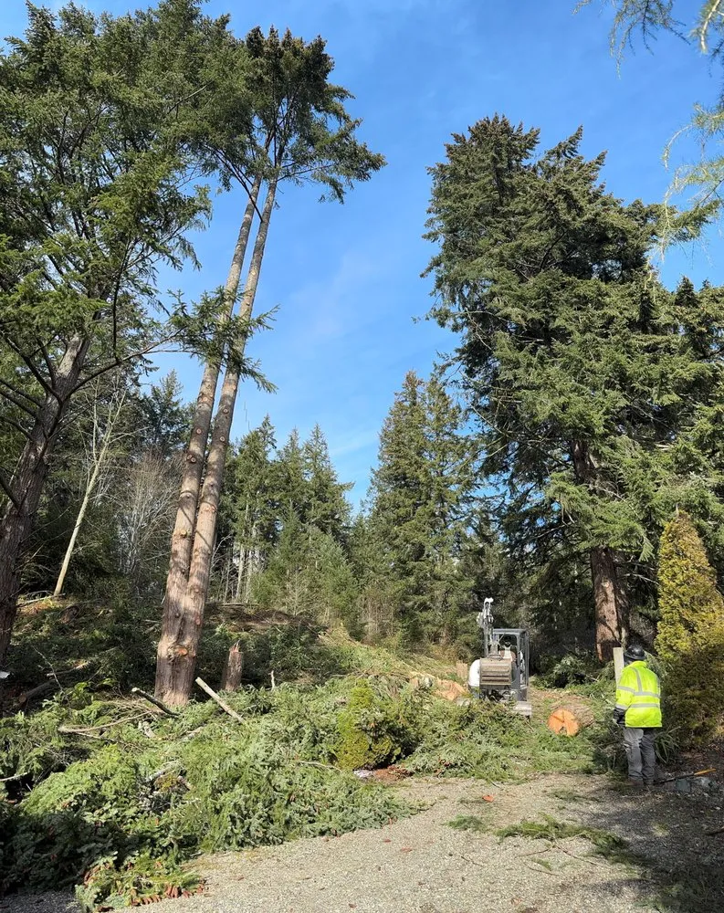 Top-rated landscape installation experts serving Kent, WA - Thousand Oaks