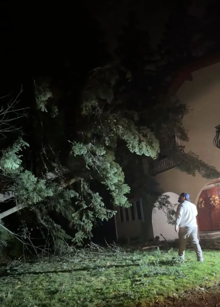 Top-rated garden landscaping in Kent, WA - Thousand Oaks