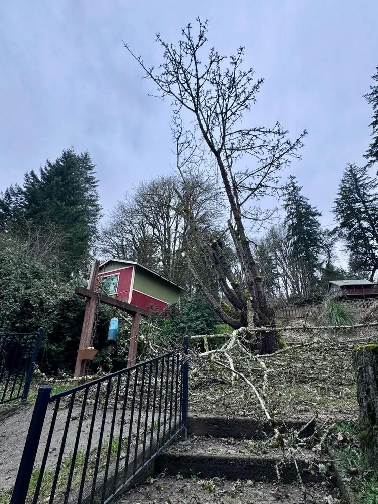 Affordable residential landscaping in Kent, WA by Thousand Oaks