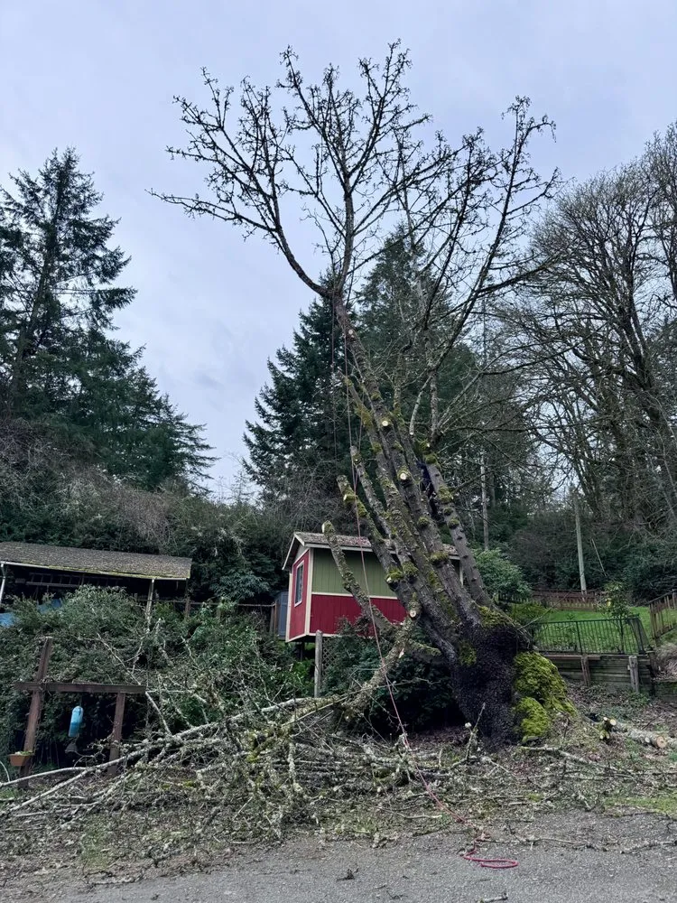 Affordable outdoor landscaping near you across Kent, WA - Thousand Oaks