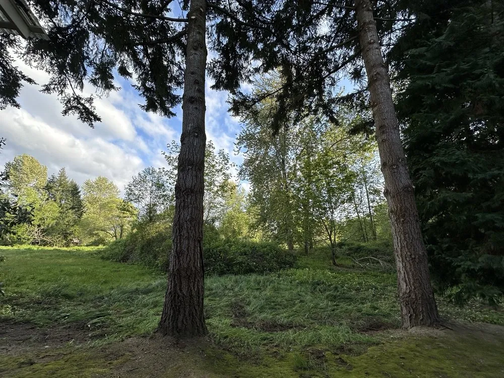 Trusted landscape design in Kent, WA by Thousand Oaks