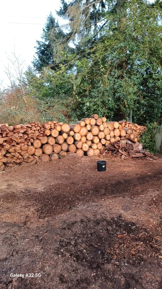 Reliable landscape installation experts serving Kent, WA - Thousand Oaks