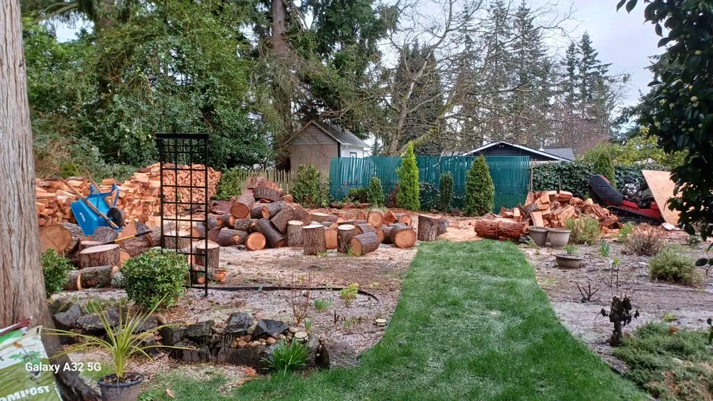 Expert lawn mowing service in Kent, WA by Thousand Oaks