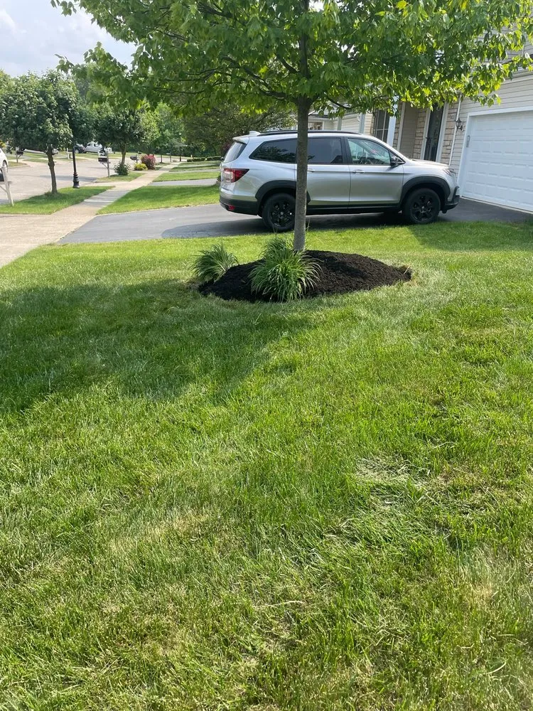 Top-rated lawn care service experts serving Westerville, OH - THR Landscaping
