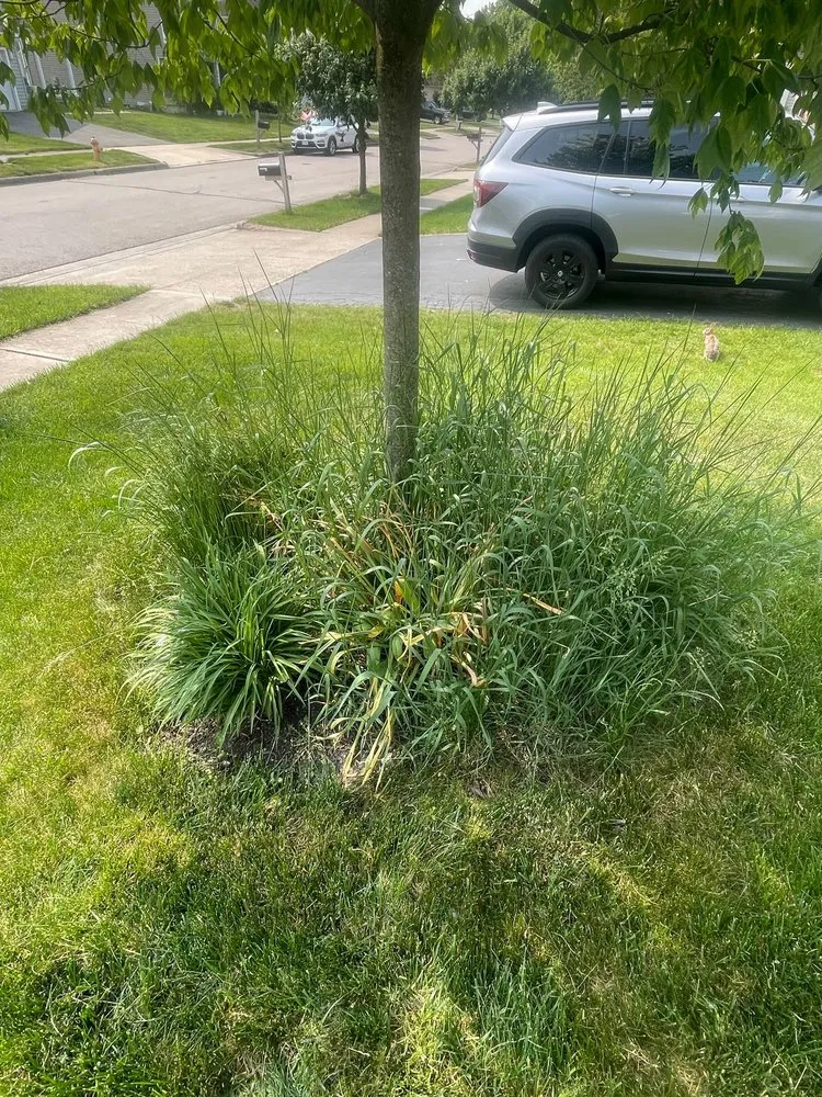 Trusted outdoor landscaping in Westerville, OH by THR Landscaping