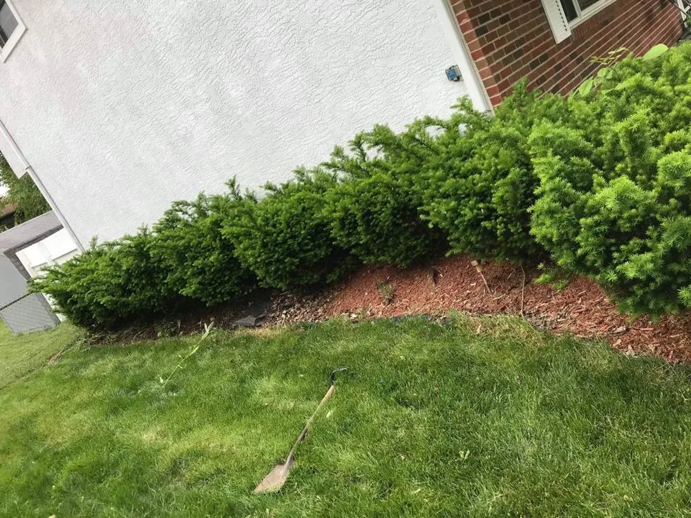 Top-rated lawn mowing service for outdoor upgrades in Westerville, OH by THR Landscaping