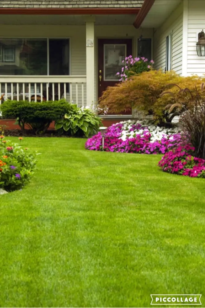 Expert outdoor landscaping in Marmaduke, AR - Thrash's Lawn Service