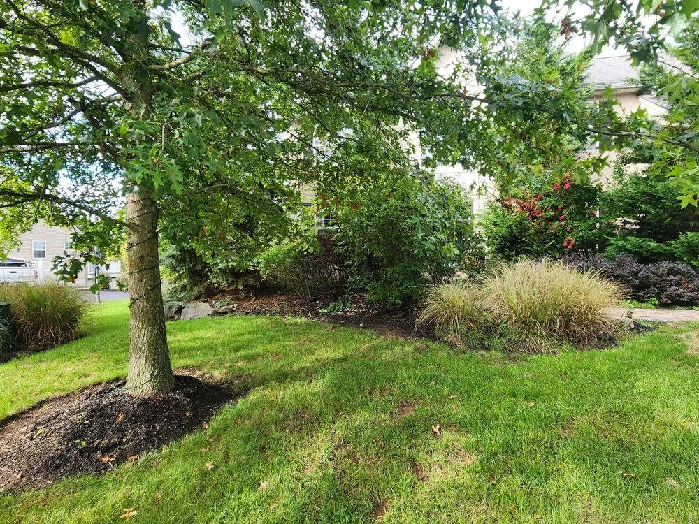 Affordable lawn care service in Souderton, PA by Three Amigos Landscaping & Lawn Services