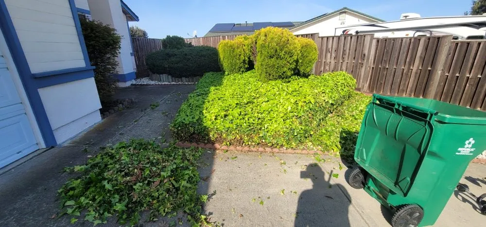 Expert garden landscaping for residential properties across Richmond, CA - Three Amigos Landscaping