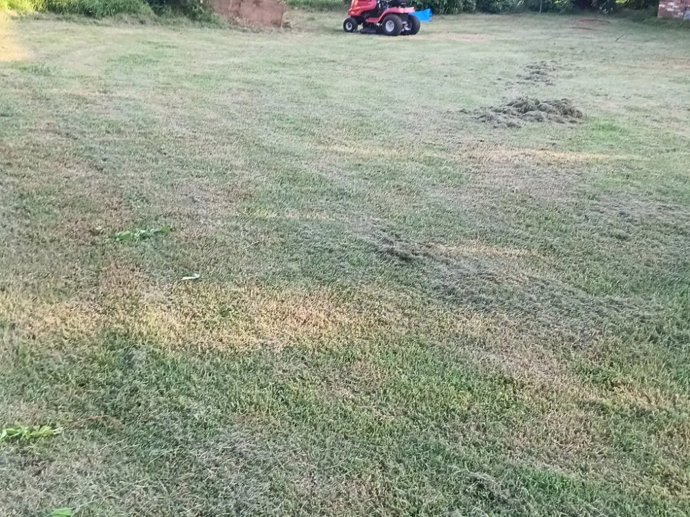 Expert yard cleanup service experts serving Rush Springs, OK - Three Amigos Landscaping