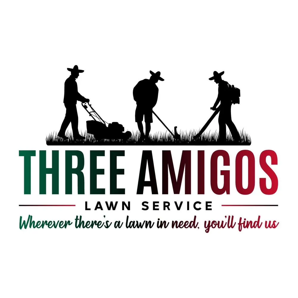 Reliable landscape installation experts serving Lubbock, TX - Three Amigos