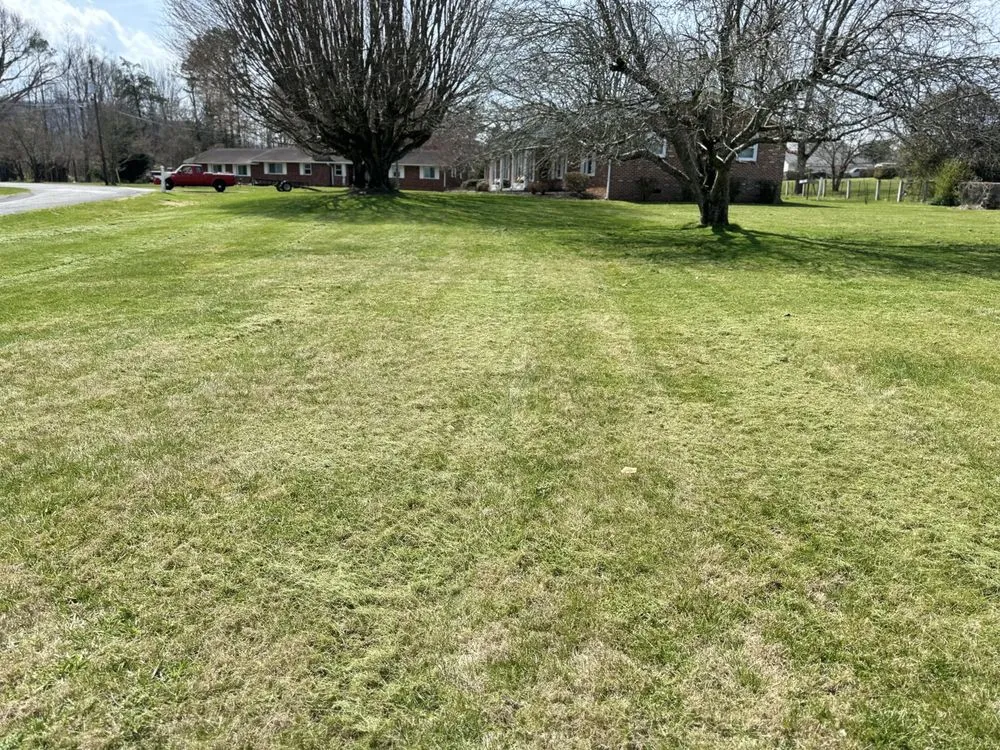 Top-rated garden landscaping in Kingsport, TN by Three Bears Lawn Care