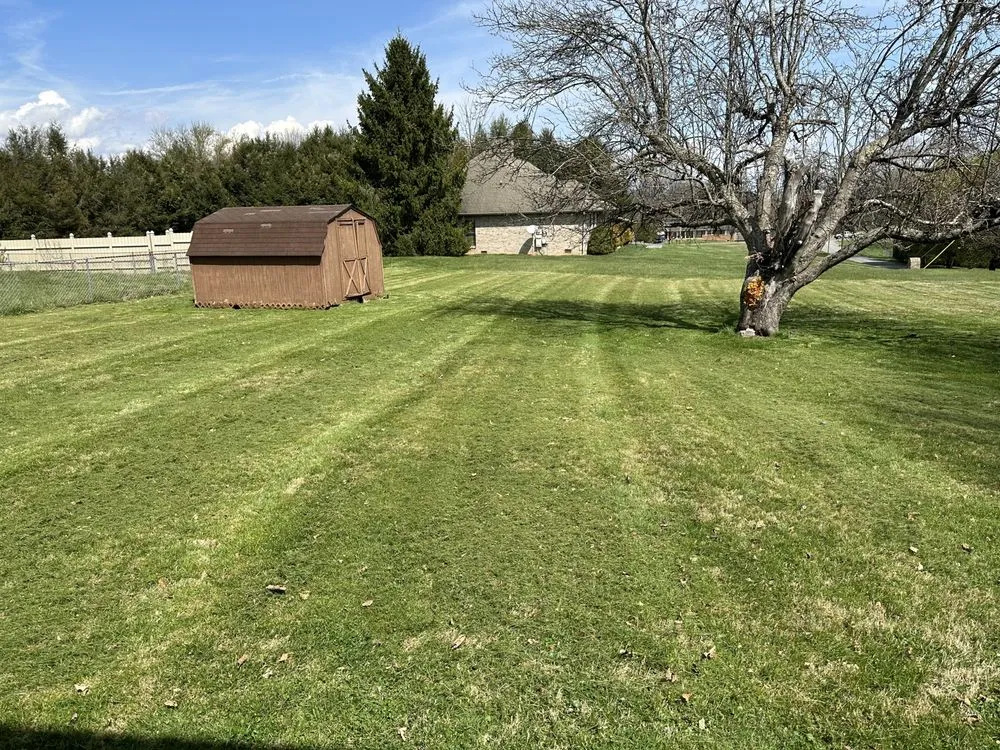 Expert yard cleanup service for outdoor upgrades across Kingsport, TN - Three Bears Lawn Care