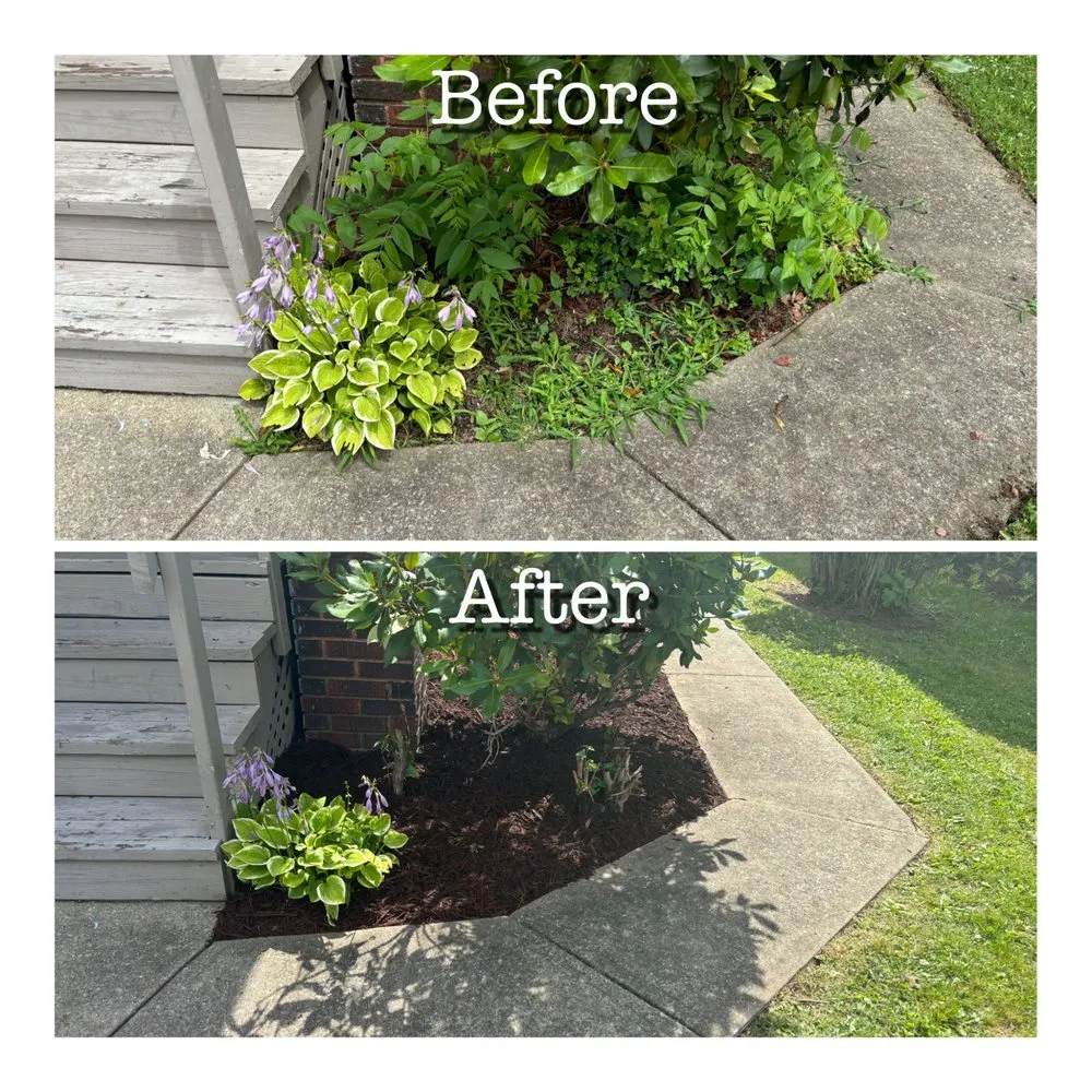 Custom yard cleanup service in New Castle, PA - Three Bees Lawn Care